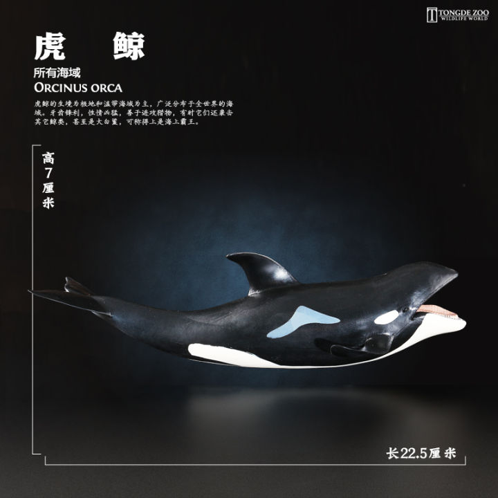 โมเดลปลาวาฬเด็กของเล่นสัตว์ทะเลปลาวาฬสีขาวปลาวาฬสีฟ้าวาฬเพชฌฆาตวาฬเพชฌฆาตปลาวาฬสีเทา