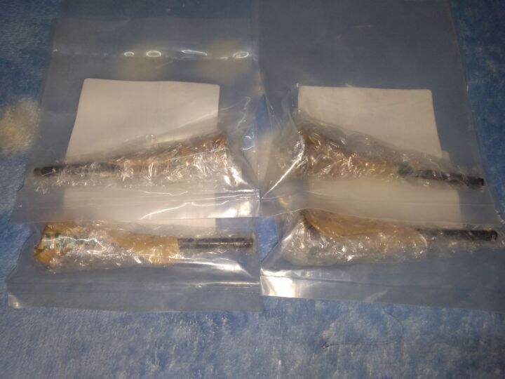 RAIDER 150 CARB SGP INTAKE / EXHAUST VALVE Lazada PH