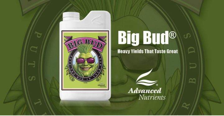 advanced-nutrients-bigbud-ปุ๋ยเร่งดอกใหญ่-ปุ๋ยเพิ่มน้ำหนักดอก-และผลผลิต-advanced-nutrients-big-bud-pk-booster-60ml-120-ml