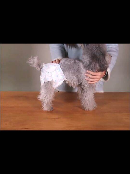 Disposable Diapers Female Puppy Diapers Pet Diaper Dog Belly Wrap Full