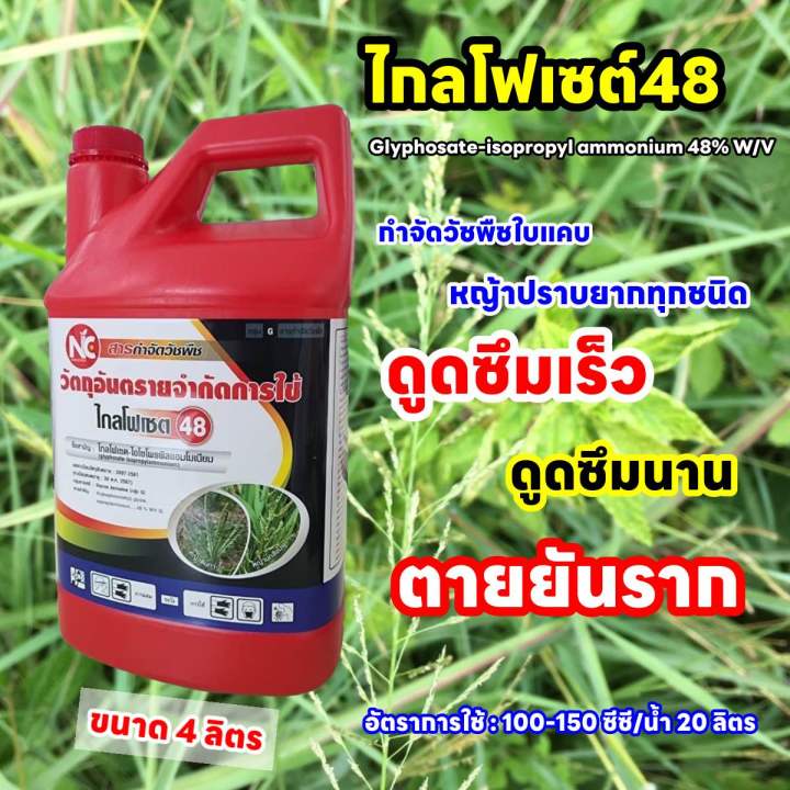 ไกล-โฟเซต48-ขนาด-4-ลิตร-ชนิดดูดซึม-กำจัดหญ้าปราบยากทุกชนิด