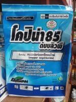 โคปิน่า85WP 1 Kg คอปเปอร์ ออกซี่คลอไรด์ ป้องกันกำจัดโรคพืช ที่เกิดจากเชื้อราและแบคทีเรีย ราน้ำค้าง แครงเกอร์มะนาว