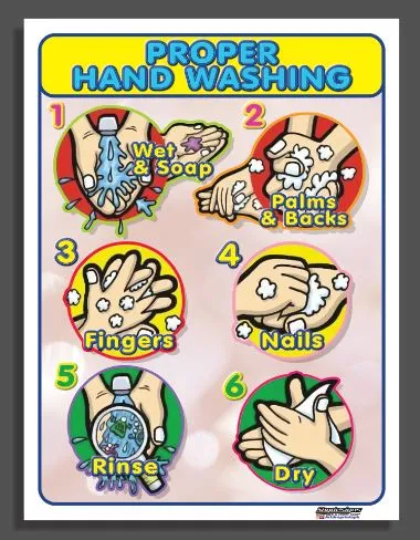 EDUCATIONAL TARPAULIN CHART PROPER HAND WASHING 45X60CM | Lazada PH