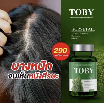 พร้อมส่ง!! โทบี้หางม้า TOBY HORSETAIL โทบี้ฮอร์สเทล โทบี้หญ้าหางม้า  ลดผมร่วง ผมสี ผมงอกใหม่ ลดรังแค บำรุงรากผมให้แข็งแรง