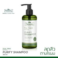 Plantnery Tea Tree Purify Shampoo 300 ml.