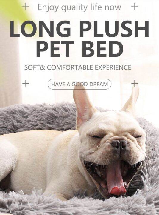 PET CALMING BED Lazada PH Buy sell online Beds with cheap price