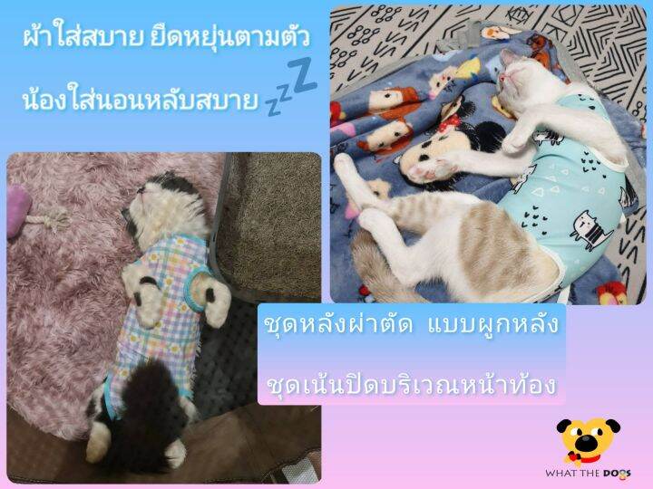 พร้อมส่ง-ชุดกันเลียแมว-ชุดทำหมันสุนัขและแมว-ชุดหลังผ่าตัดสัตว์เลี้ยง-what-the-dogs