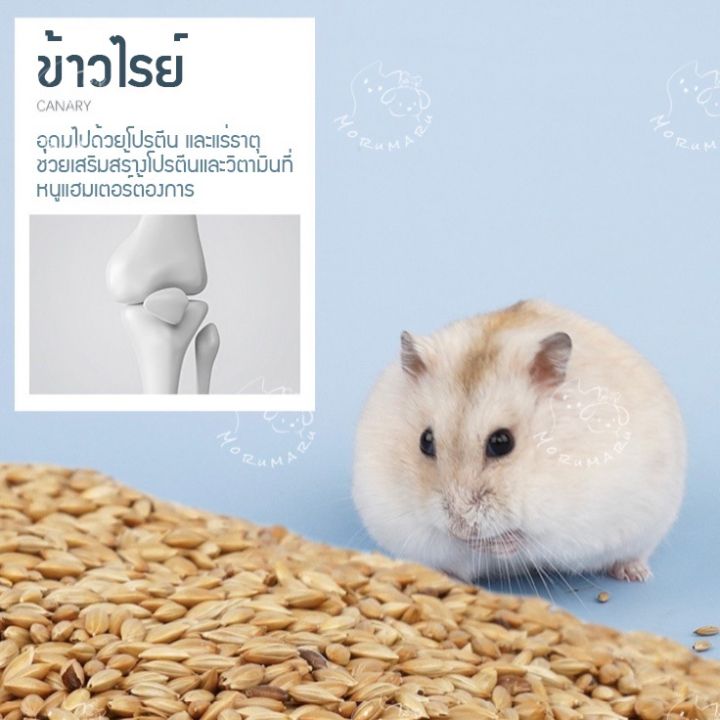 jonsanty-อาหารหนูแฮมเตอร์-hamster-food-สำหรับแฮมเตอร์ทุกสายพันธุ์-ขนาด-1lb-454g