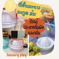 ืี่คั้นน้ำส้ม ที่คั้นมะนาว  คั้นส้ม มะกรูด กิจกรรม  sensory play เสริมทักษะประสาทสัมผัส เรียนรู้เรื่องกลิ่น