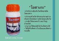 โอซาเกะ ฮอร์โมนตัดใยระเบิดดอก