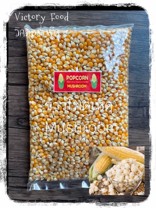 เมล็ดข้าวโพดดิบ-corn-seeds-สำหรับทำป๊อปคอร์น-แบบ-mushroom-ขนาด-1-000-กรัม