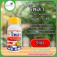 โพล่า ไพราโคลสโตรบิน 250 ซีซี โรคใบจุด โรคใบจุดสีม่วง โรคใบไหม้แผลใหญ่ โรคยางไหล โรคแอนแทรคโนส โรคกุ้งแห้งพริก