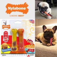 Nylabone Power Chew ของเล่นขัดฟันสัตว์เลี้ยง