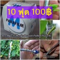 10ฟุต 100 เดียว ? ถูกมากแม่ !! พาราฟิล์มเทป ถูกที่สุด 100 เดียวค่ะ ขุ่นลูกค้าขาๆๆๆ