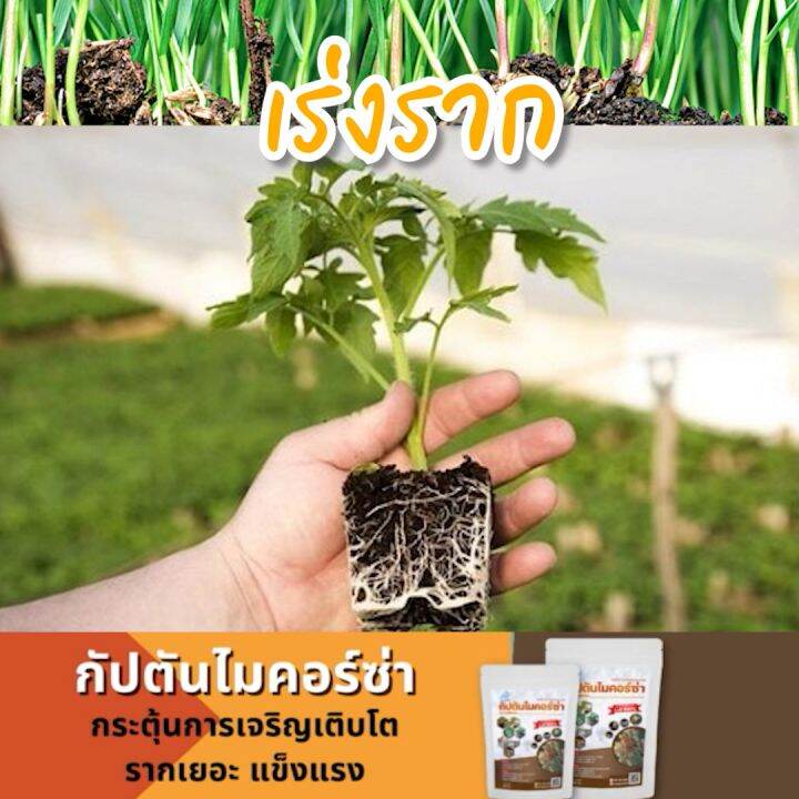 My Image 10