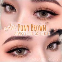 คอนแทกเลนส์ Pony brown สายตา -50 ถึง -1000