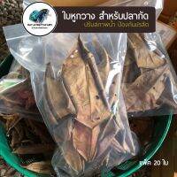 ใบหูกวาง สำหรับปลากัด ปลาดุ สุขภาพดี(แพ็ค 12 ใบ)