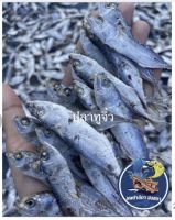 ปลาทูจิ๋วปลาทูตากแห้ง สดใหม่ (น้ำหนัก 1kg. 100 บาท)