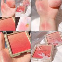 CUTE PRESS Nonstop Beauty Ombre Blush สี 02 PEACH PASSION