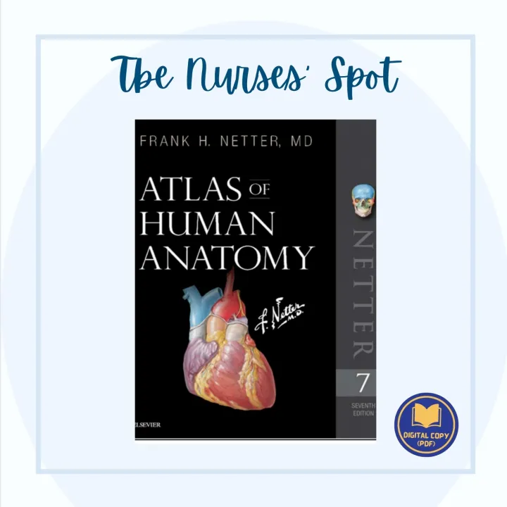 Frank Netter Atlas of Human Anatomy 7th Edition Lazada PH