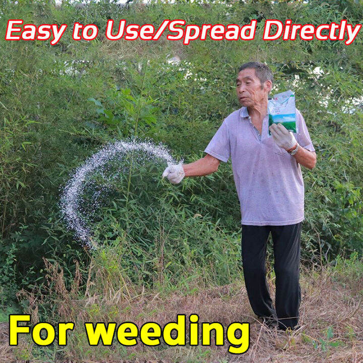 Effective weed control Removing big trees and bamboo Racun rumpai