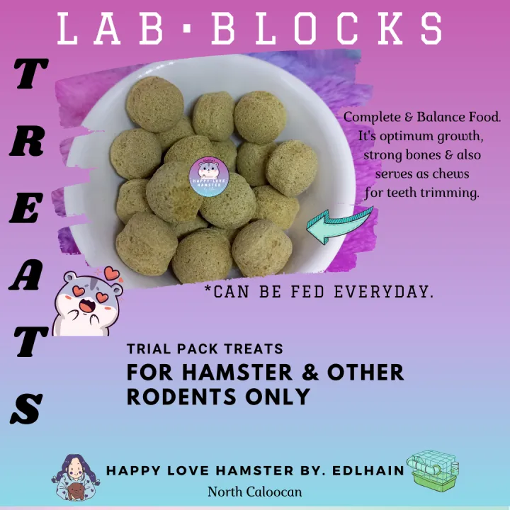 HLHE HAMSTERS TREATS TRIAL PACK LAB BLOCKS 18 GRAMS Lazada PH