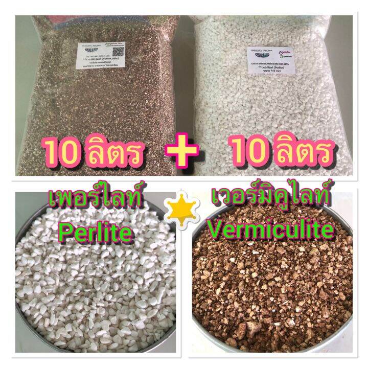 คู่ใหญ่สุดคุ้ม-เวอร์มิคูไลท์-vermiculite-บวก-เพอร์ไลท์-perlite-แพ็คคู่-10-10-ลิตร