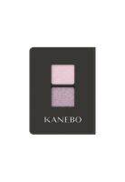 kanebo eye colour duo10 eyeshadow