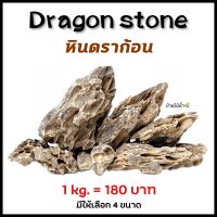 หินดราก้อน Dragon Stone ตกแต่งตู้ปลา ตู้ไม้น้ำ หินแต่งตู้ปลา หินตู้ปลา หินตู้ไม้น้ำ หิน | บ้านไม้น้ำ?