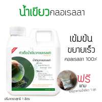 Sp หัวเชื้อน้ำเขียว น้ำเขียวไรแดง สำหรับนำไปขยาย (1 ลิตร)