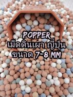 เม็ดดินเผาญี่ปุ่น Popper(1kg)