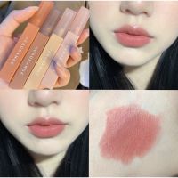 Herorange Lipstick ?เครื่องสําอาง ลิปกลอส ลิปครีม ลิปแมทให้ความชุ่มชื้นกันน้ําติดทนนาน มีให้เลือกใช้ด้วยกัน 6 สี ?