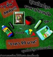 ชุดปลูกราคาประหยัด ได้ถึง 9 ชิ้น สุดคุ้ม!!! ราคาแค่ 99 โคโค่พีท สูตรRasta B พร้อม☘️เมล็ดสมุนไพรสายเขียวฝอยทองคุณภาพดี 2 เมล็ด มาจากศูนย์วิจัยรัฐวิสาหกิจองค์กรใหญ่