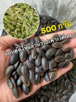 เม็ดเหรียงแบบตัดแล้ว500 กรัม สามารถนำไปเพาะได้เลยไม่ต้องตัดหัว เม็ดเหรียง  เมล็ดเหรียง  เม็ดหน่อเหรียง  แบบยังไม่เพาะครึ่งกิโลกรัม ลูกค้าต้องนำไปเพาะเอง