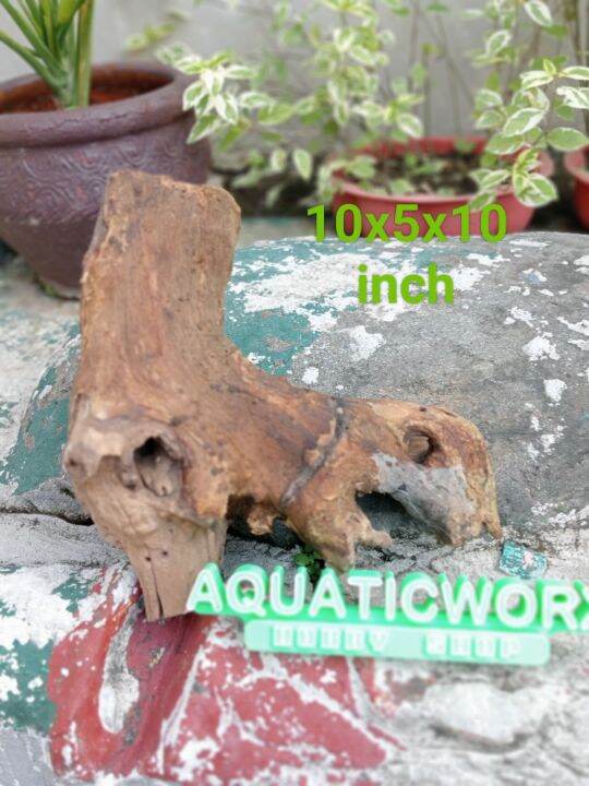 Driftwood for Aquarium 10x5x10 Inch Lazada PH