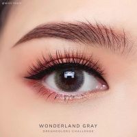 ?บิ๊กอายรุ่น Wonderland gray สีเทา ***แฟชั่นและสายตาสั้นDreamcolor1