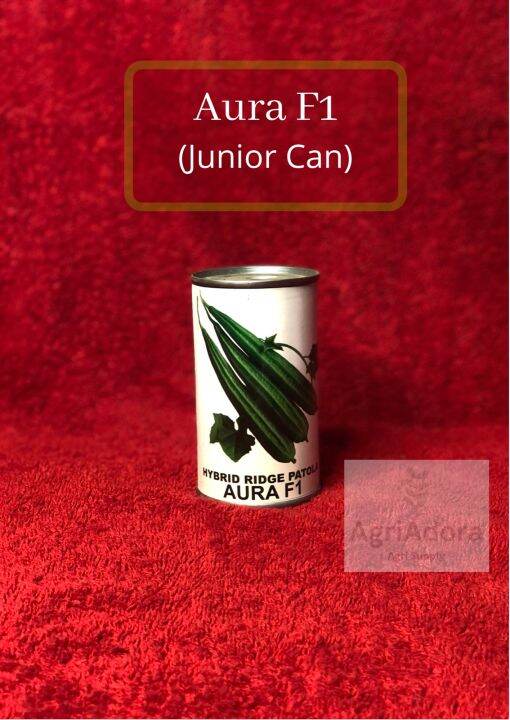 Aura F1 Hybrid Patola Seeds Junior Can (Condor Quality Seeds)