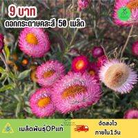 ถูกที่สุด 9 บาท เมล็ดพันธุ์ ดอกกระดาษคละสี บรรจุ 50 เมล็ด