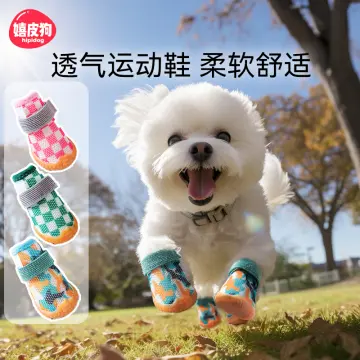 Bichon slippers clearance