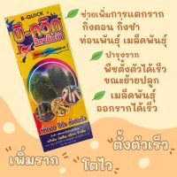 บีควิก ยาเร่งราก เร่งการแตกราก แช่ท่อนพันธุ์ ขนาด 100cc