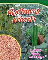 ?ถั่วฝักยาวสายฟ้า(1กก)?ดก ไม่เหลือง ไม่เป็นไวรัส ถั่วกึ่งเนื้อ 1กก.