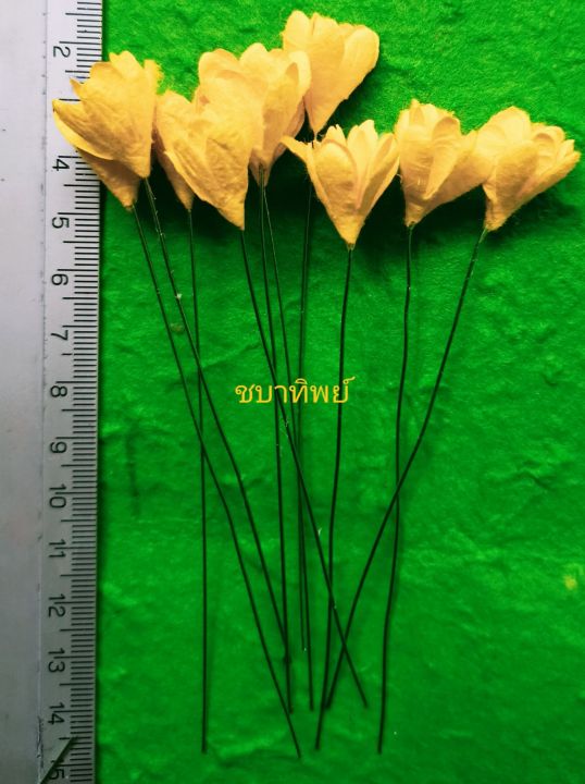 ดอกยิปโซกระดาษสาหน้าดอกกว้าง1-5ชม-ดอกสูง2ชม-ก้ายยาว10ซม-หลากสีราคา59บาท-50ดอก