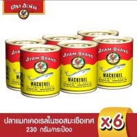 (แพ็ค6กระป๋อง) Ayam ปลากระป๋อง ปลาแมกเคอเรลในน้ำซอสมะเขือเทศ ปลาแมกเคอเรลกระป๋องอะยัม ขนาดกลาง230กรัม×6กระป๋อง สินค้านำเข้า