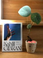 หนังสือ The Secret of the heart (รหัสย์แห่งหัวใจ) โดย Khalil Gibran