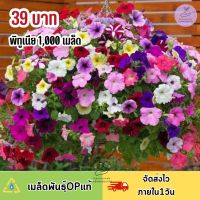 เมล็ดพันธุ์ ดอกพิทูเนียคละสี1,000 เมล็ด