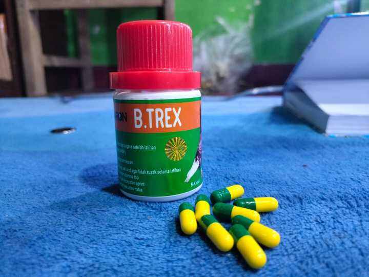 B Trex, Jamu Merpati B T-rex | Lazada Indonesia