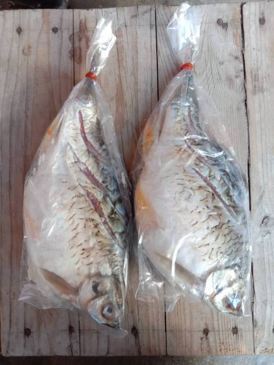 ปลาส้ม-ปลาตะเพียน-ขนาด-450g-ทอดหรือย่างห่อใบตองก็อร่อย-ตัวละ-40-บาท