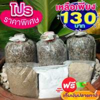 ชุดเพาะเห็ดฟาง 130 บาท