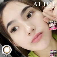 Alice สีน้ำตาล Bigeye Brown Winklens