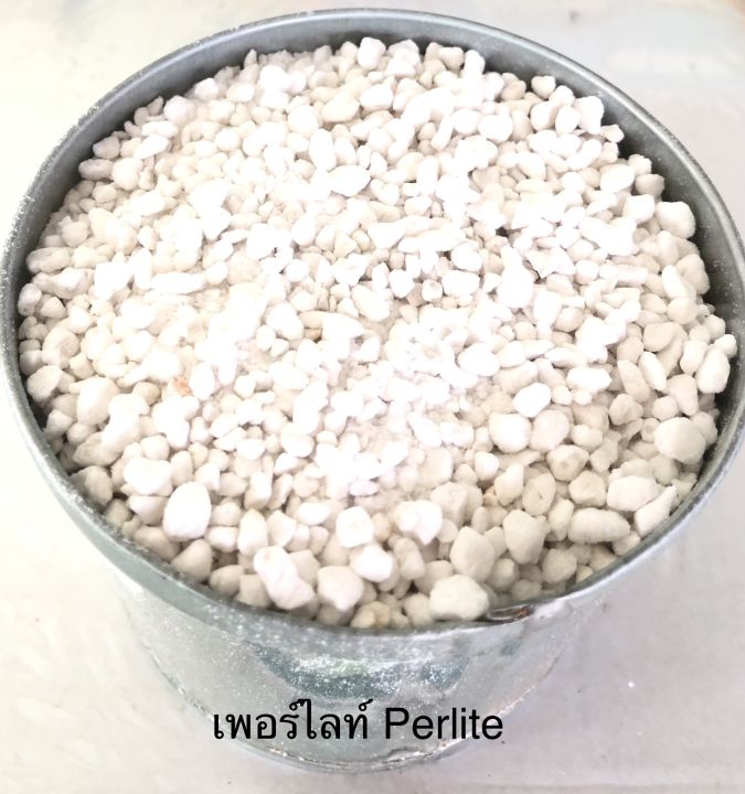 เพอร์ไลท์-perlite-1-ลิตร-และ-2-ลิตร